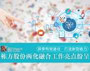 探索有效途徑，打造新型能力——棟方股份兩化融合工作亮點(diǎn)紛呈